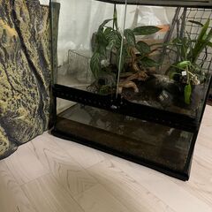  GEX　グラステラリウム　　4545　爬虫類　飼育　ケージ　ガ...