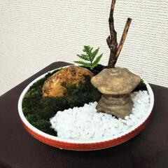 ■癒やしのミニ庭園 箱庭 苔 シダ 灯籠 岩 木 化粧石 の画像