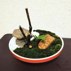 ■癒やしのミニ庭園 箱庭 苔 シダ 灯籠 岩 木 化粧石 の画像