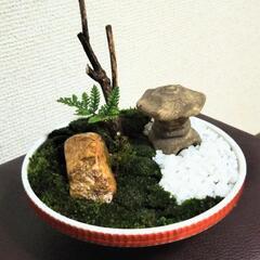 ■癒やしのミニ庭園 箱庭 苔 シダ 灯籠 岩 木 化粧石 の画像