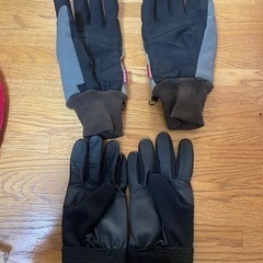 グローブの画像