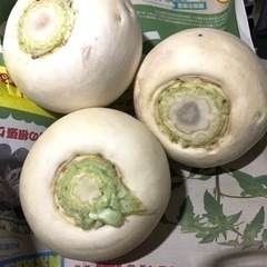 いよいよ明日開催!!