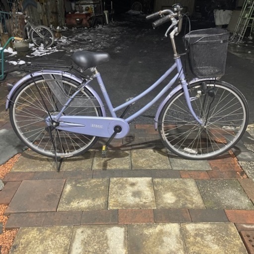 昭和レトロ 交阯窯造 コレクション 陶器製 丸型 大型 水盤 フラワー