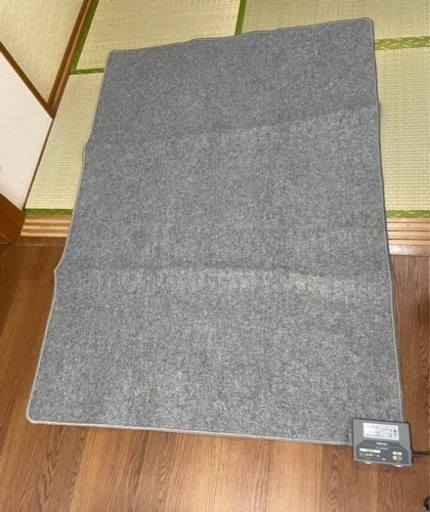 アイリスオーヤマ ホットカーペット 1.5畳 180×126cm IHC-15-H 府中市