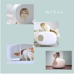 【決まりました！】猫用トイレ、差し上げます😊の画像