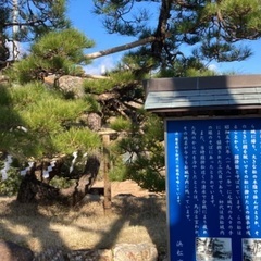 家康の散歩道歩きませんか？