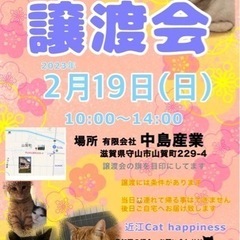 保護猫の譲渡会