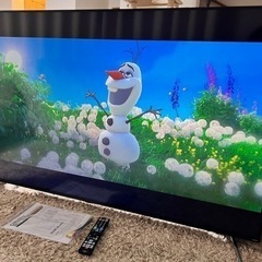 オリオン　OL65XD100 65インチ チューナー内蔵液晶テレビ