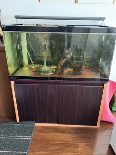 オーバーフローアクリル水槽