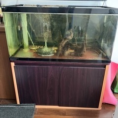 オーバーフローアクリル水槽