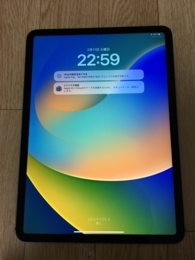 iPad Pro11 256gb SIMフリー