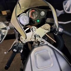 FZR250R 3ln 値下げ可能 の画像