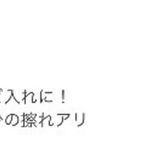 カメちゃん収納ケースの画像