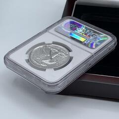 2017　パラジウム イーグル　モダンコイン　NGC MS70ER　　E1の画像