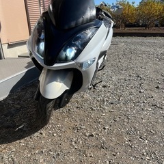  4d9 マジェスティ