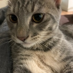 折り合いが付かず、募集させて頂きます。