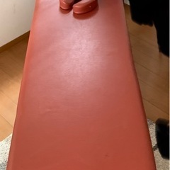 高田製　中古整体ベット値下げしました。の画像