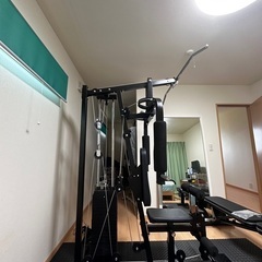 ファイティングロード ホームジムEX100の画像