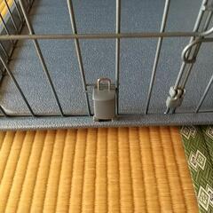 ペット用ケージの画像