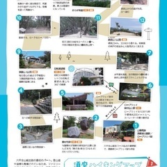 3/11（土）須磨馬の背ハイキング‼️初心者多め、勧誘❌