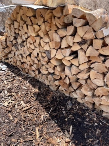 薪　(広葉樹)