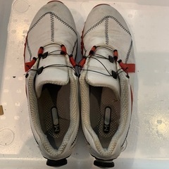 フットジョイの中古が安い！激安で譲ります・無料であげます