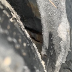 希少アルトワークス   5MT  FF車  抹消済み　ジャンクベース車にの画像