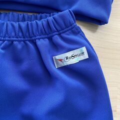 長袖体操服(上下セット) レッドスワローの画像
