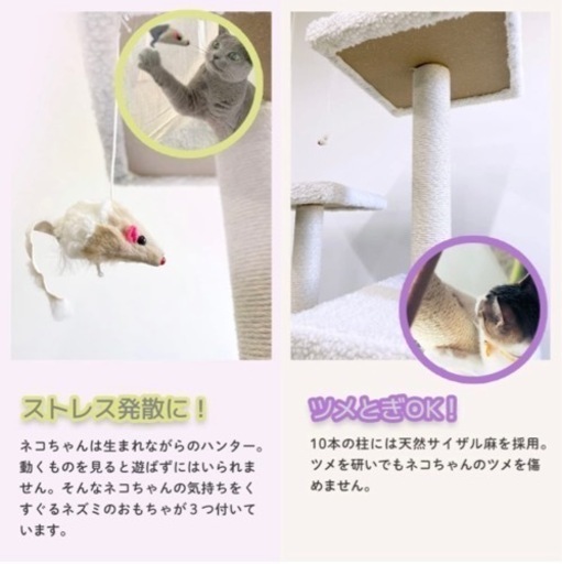 【受け渡し決定】きゃっっとたわー！ わーすた - Wikipedia