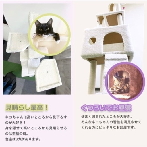 【受け渡し決定】きゃっっとたわー！