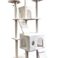 【受け渡し決定】きゃっっとたわー！の画像