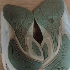 瞬足21.0cm　水色の画像