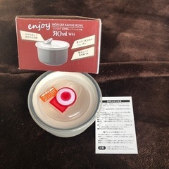 【お譲り先決まりました】エンジョイ　高密閉レンジパック小鉢
