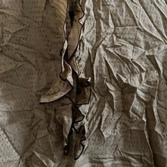 トップス 。の画像