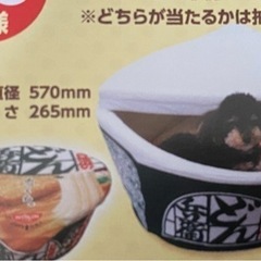 【未開封】どん兵衛　ペットベッド