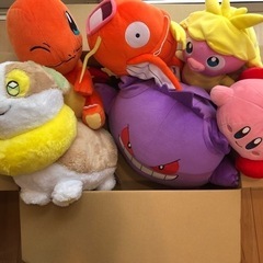ポケモンぬいぐるみ！