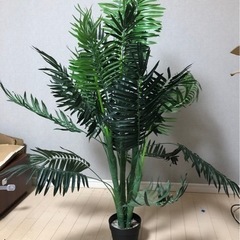 観葉植物  造花