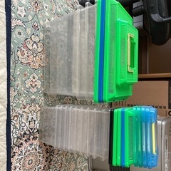 プラスチック昆虫ケース　クワガタ飼育などに