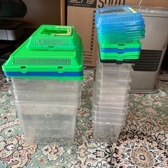 プラスチック昆虫ケース　クワガタ飼育などにの画像