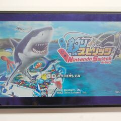 ソフトのみ 釣りスピリッツ NintendoSwitchバージョン Switch用ゲームソフト 読込確認 ニンテンドー 定形外発送可 札幌市 清田区 平岡の画像