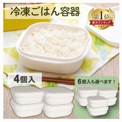極冷凍ご飯容器　6個セット