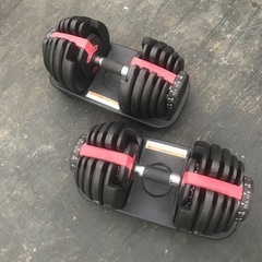 可変式ダンベル×2  MAX24kgの画像