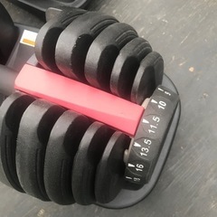 可変式ダンベル×2  MAX24kgの画像