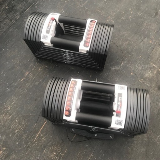 可変式ダンベル×2  MAX40.5kg