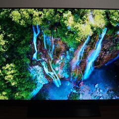 LG 55V型 有機EL テレビ OLED55B8SJB