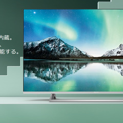 50E6500 液晶テレビ シルバー [50V型 /4K対応 /BS・CS 4K