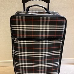 キャリーバッグの画像