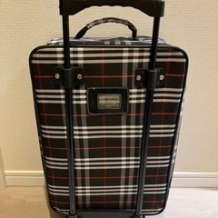 キャリーバッグの画像