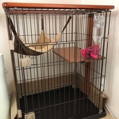 ウッドワンサークルキャットの中古が安い！激安で譲ります・無料