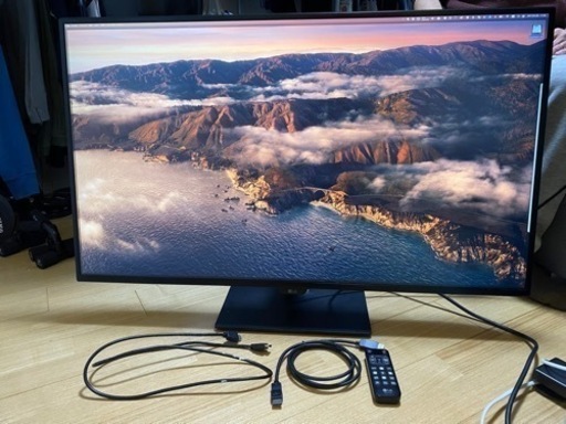 【最終値下げ】LG モニター USB Type-C対応 大型 ディスプレイ 42.5インチ